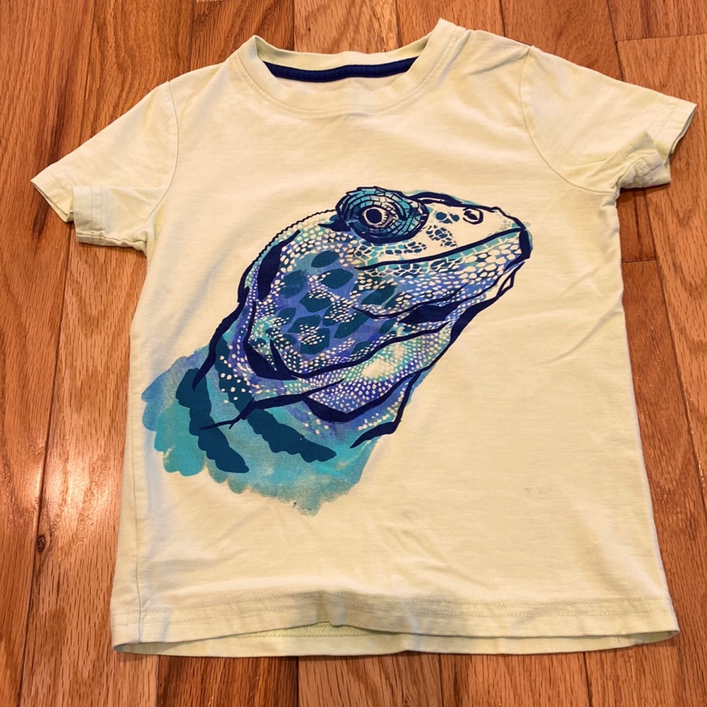 EUC Light Green Tea Collection Boys Tee Size 5